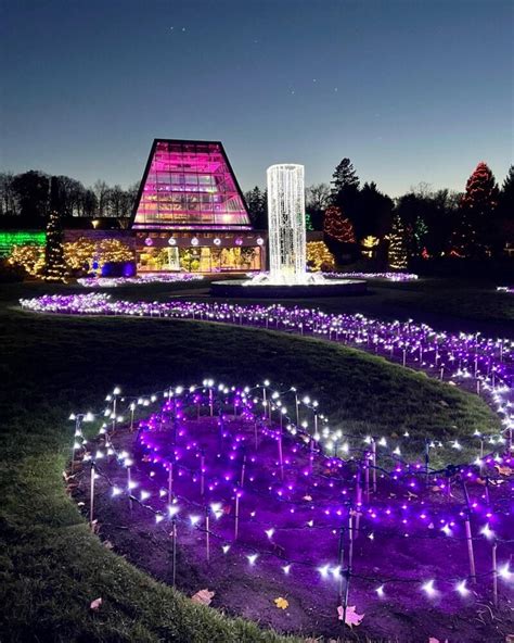 A Guide to the Winter Festival of Lights in Niagara Falls