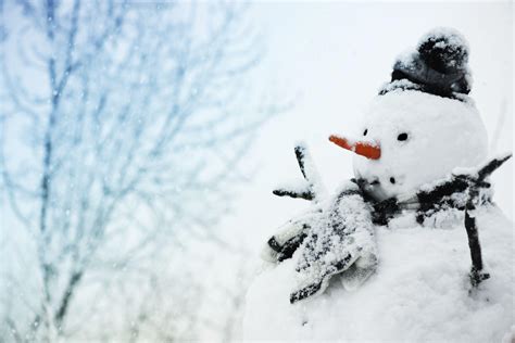 Snowy Day Wallpapers - Top Free Snowy Day Backgrounds - WallpaperAccess