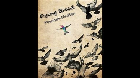 Dying Breed - Marissa Nadler (lyrics) - YouTube