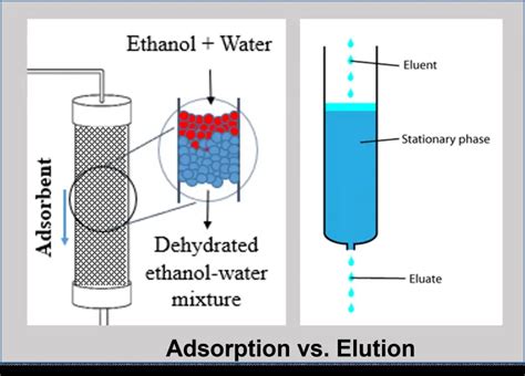 Elution vs. Adsorption - The Engineer's Perspective