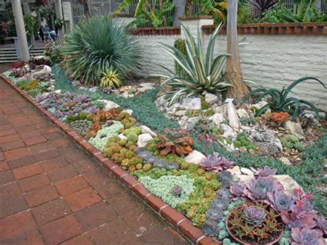 How to Plant an Outdoor Succulent Garden - World of Succulents