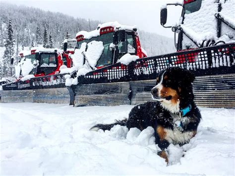 Loveland, Colorado OPENS Thursday!!!! - SnowBrains