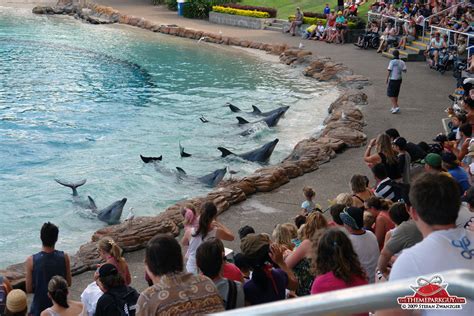 Sea World Australia - photographed, reviewed and rated by The Theme ...