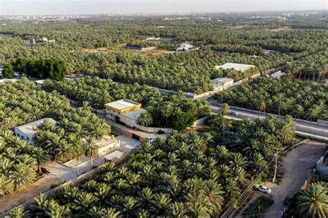 Aerial of the Al Ahsa (Al Hasa) Oasis, largest Oasis in the world ...