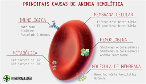 Conoce tu Mascota: Que es la anemia hemolítica? Causas