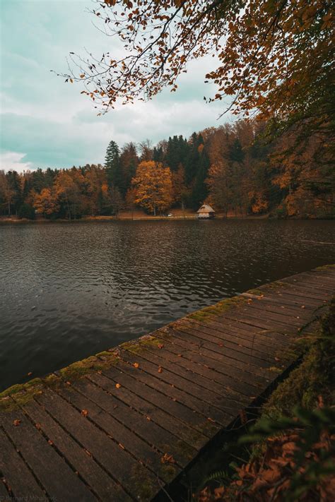 A lake in northern Croatia in November | Nature aesthetic, Autumn aesthetic, Nature photography