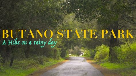 Butano State Park - A hike on a rainy day (Nikon D810) - YouTube