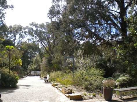 The Wandering Arborist: National Botanic Gardens Canberra