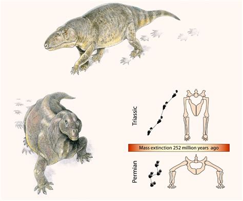 End-Permian Extinction Triggered Switch to Warm-Bloodedness | Sci.News