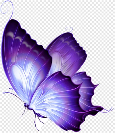 Butterfly Purple, butterfly, purple, blue png | PNGEgg