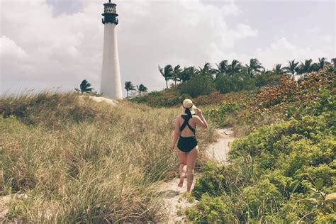 Bill Baggs Cape Florida State Park - Trends and Tolstoy