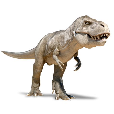 Tyrannosaurus rex 3D model Download for Free