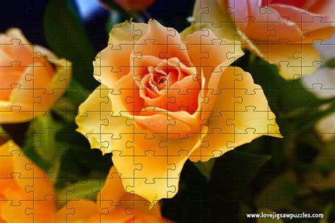 Online Jigsaw Puzzles | Funny and Cute Jigsaw Puzzles | Free Online Jigsaws