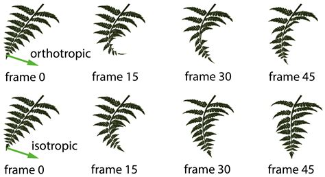 Stable Orthotropic / Anisotropic Materials