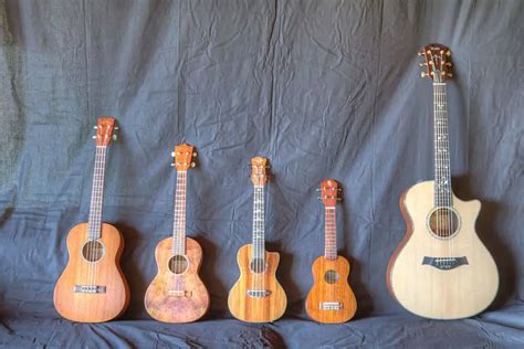 Which Is Easier To Learn, Guitar Or Ukulele? Let's Find Out!