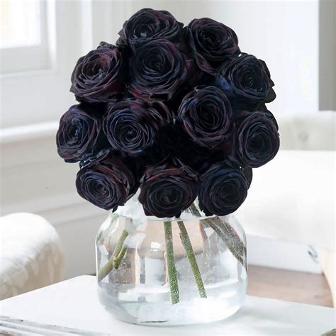 Black Roses