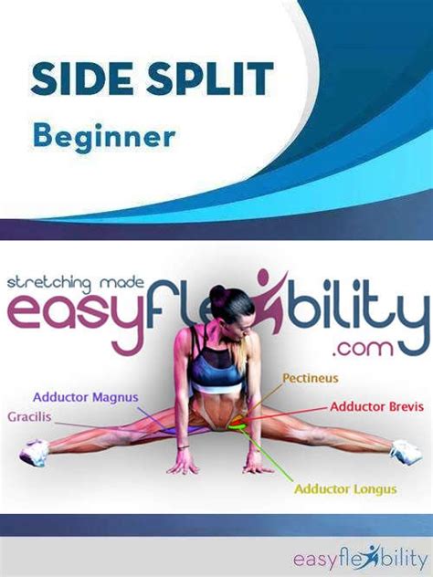 Middle Splits | Top Stretches For Preparation of Center Splits ...