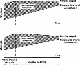 Peripheral vasodilation hypothesis (top graph) and modified peripheral ...