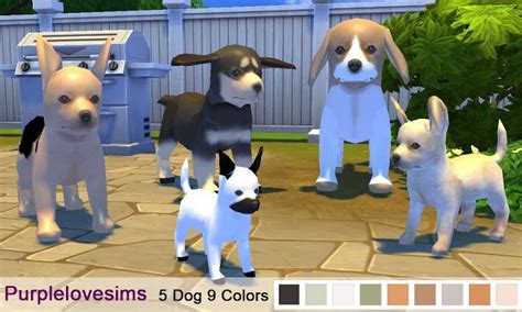 Sims 4 CC's - The Best: Decoration Dog by purplelovesims | Sims | Sims ...