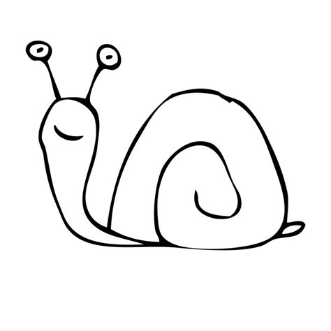 Snail Drawing - ClipArt Best