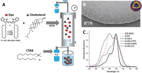 Figure 2 from Nanostructuring Lipophilic Dyes in Water Using Stable Vesicles, Quatsomes, as ...