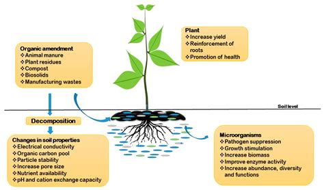 Agronomy | Free Full-Text | Harnessing the Rhizosphere Soil Microbiome ...