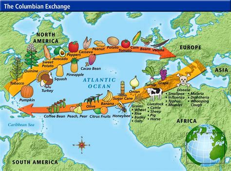 10 Interesting Facts About The Columbian Exchange | Learnodo Newtonic