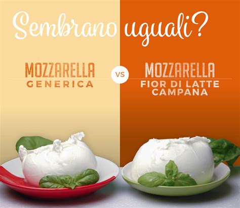 Mozzarella Fiordilatte Campana VS Common mozzarella