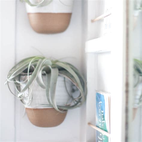 Ceramic Wall Planters– Gather Goods Co.