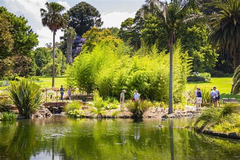 The next 20 years for Melbourne's botanic gardens | ArchitectureAu