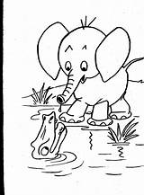 Free Printable Animal Coloring Sheets Pages sketch template