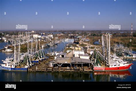 Shrimp trawlers moored at the Venice Marina, Louisiana Stock Photo - Alamy