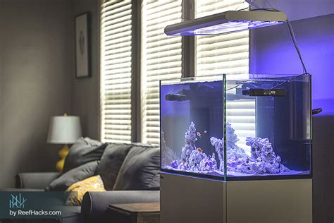 Reef Aquarium Setup Guide