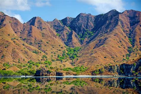 Komodo National Park - Flores - Indonesia