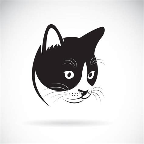 Cat Nose Illustrations, Royalty-Free Vector Graphics & Clip Art - iStock