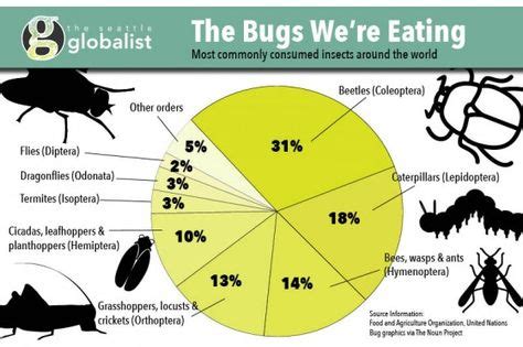 The bugs we are eating: the most commonly consumed insects in the world ...