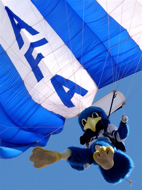 'The Bird' vies for mascot of the year > U.S. Air Force > Article Display