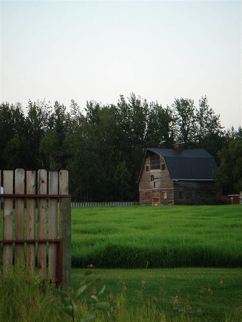 Matanuska Susitna Valley Alaska Photograph by Robert Braley - Pixels