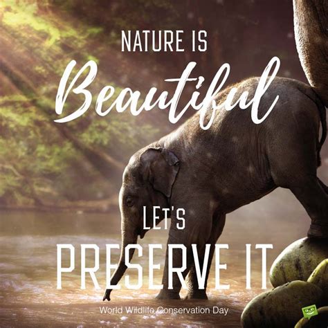 The Best Wildlife Conservation Quotes - Home, Family, Style and Art Ideas