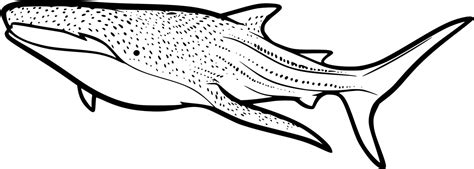 Swimming Whale Shark Coloring Pages - Coloring Cool