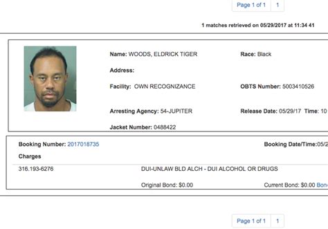 Here's Tiger Woods' Mugshot After His DUI Arrest Monday - The Spun