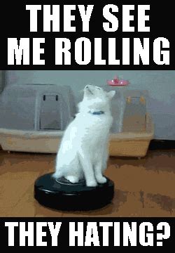 Image - Funny-cat-they-see-me-rolling-they-hating-s-roomba-cat-Favim ...