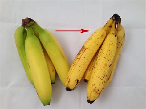 Green, unripe bananas will be ripe and edible within an hour with this trick - Rapid City Daily