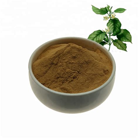 Gymnema Sylvestre Extract Powder, Leaf, Packaging Size: 5 Kg, Rs 1800 /kg | ID: 21565464812