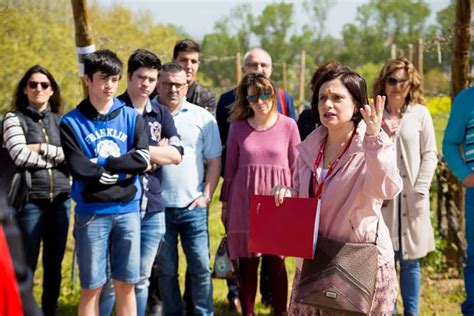 La curiosidad que despierta la Universidad de La Rioja: 650 personas visitan sus "puertas ...