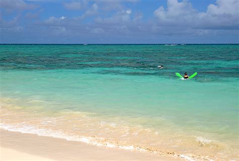 Snorkeling Lanikai Beach - Coral And Fish In Low Visibility