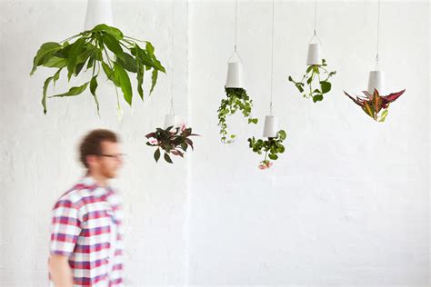 If It's Hip, It's Here (Archives): A New Perspective on Hanging Plants ...