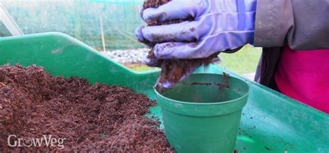 Grow Better Plants With Home-made Organic Potting Mixes