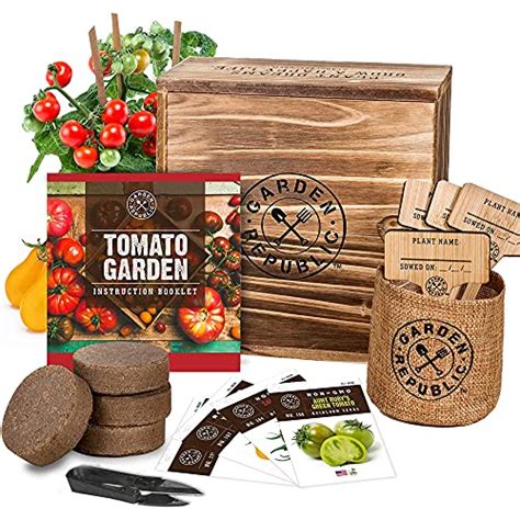 Top 10 Best Indoor Vegetable Garden Kit : Reviews & Buying Guide - Katynel