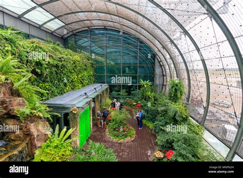 Singapore - August 13, 2017: The Butterfly Garden at Singapore Changi Airport Stock Photo - Alamy